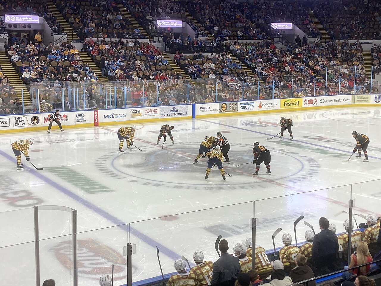 The Wolves
