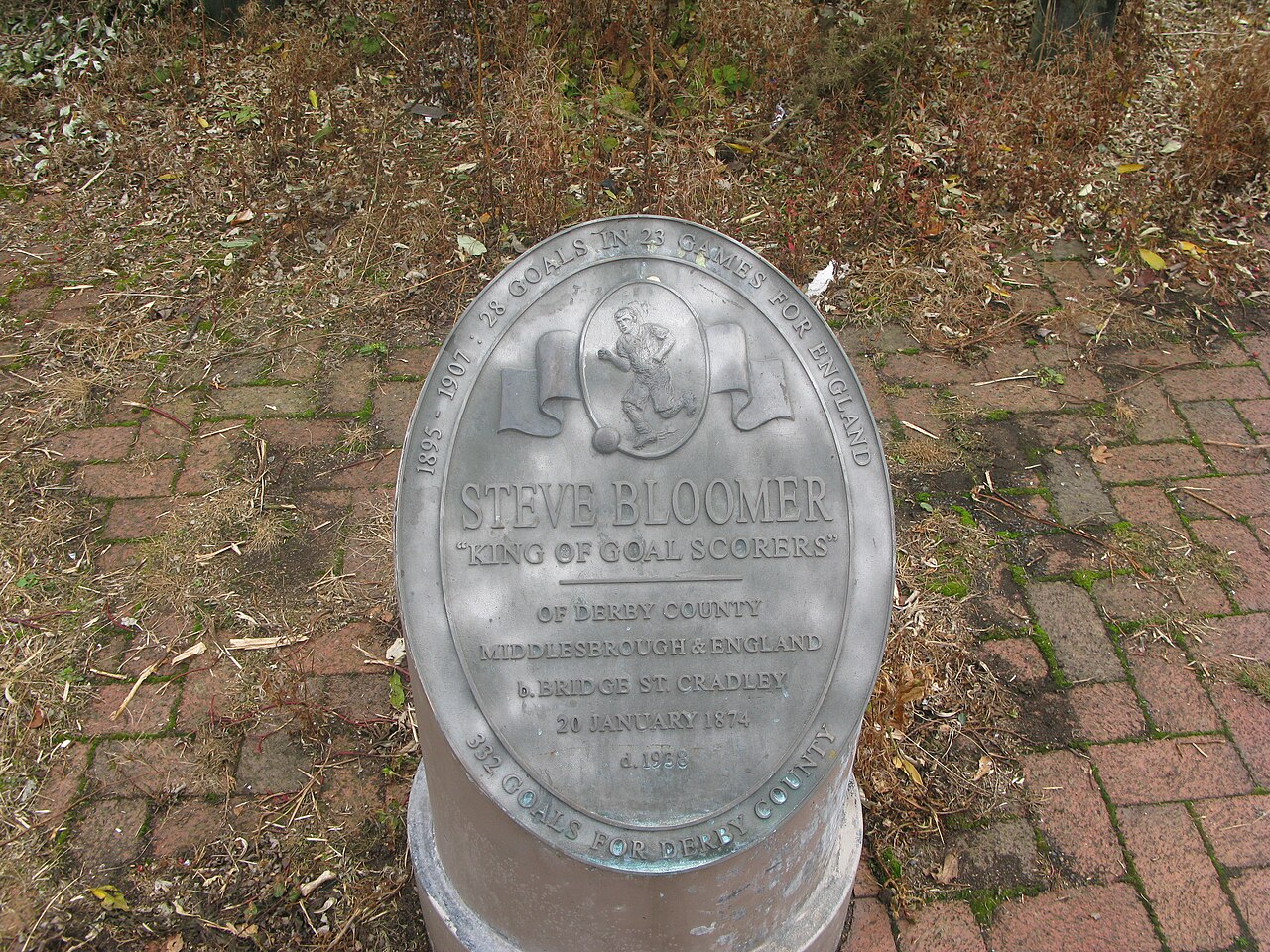 Steve Bloomer